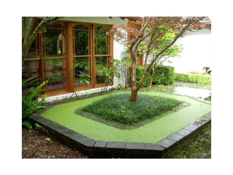 383 Wyong Road, Duffys Forest NSW 2084