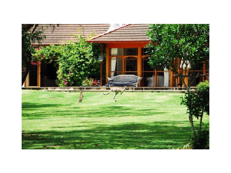 383 Wyong Road, Duffys Forest NSW 2084