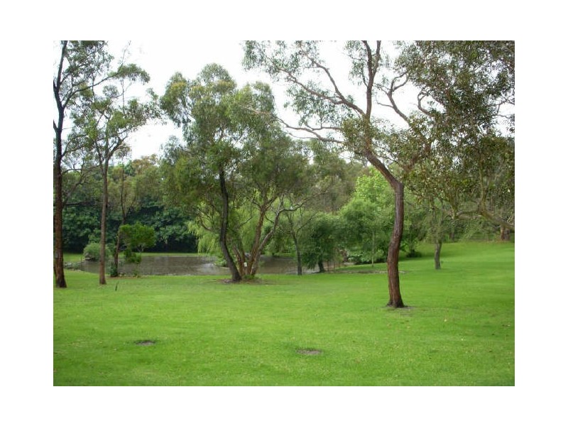 383 Wyong Road, Duffys Forest NSW 2084