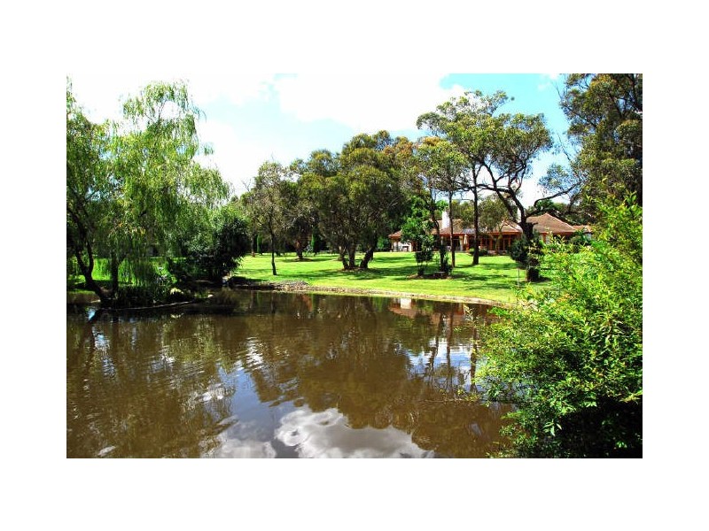 383 Wyong Road, Duffys Forest NSW 2084