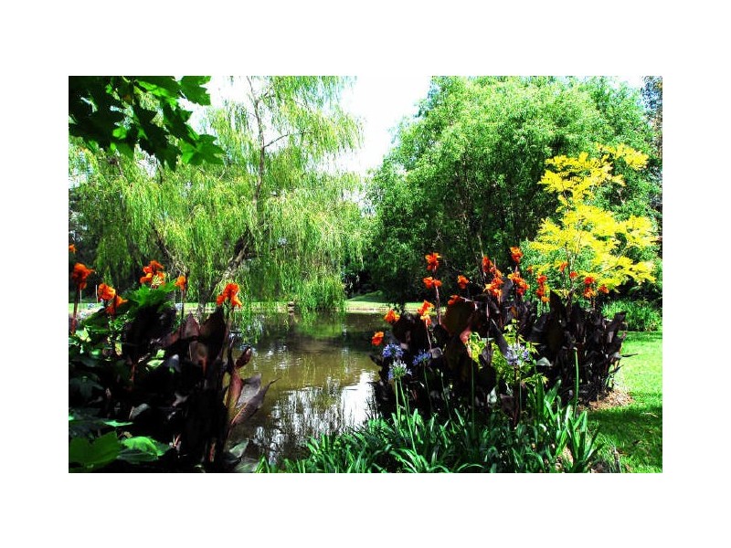 383 Wyong Road, Duffys Forest NSW 2084