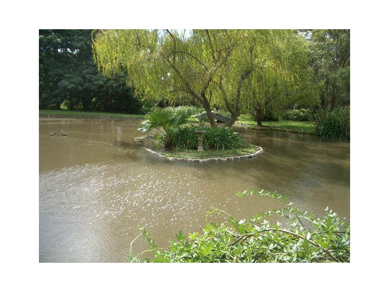 383 Wyong Road, Duffys Forest NSW 2084