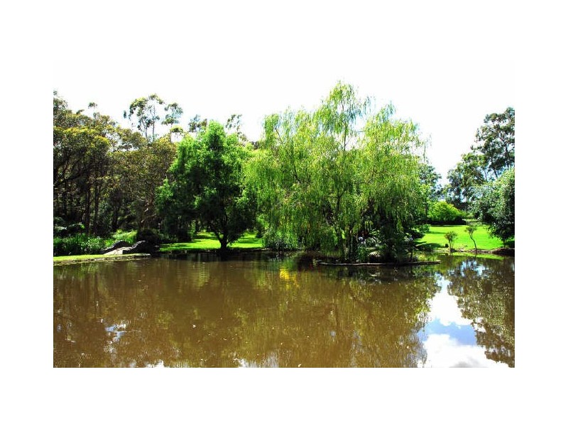 383 Wyong Road, Duffys Forest NSW 2084