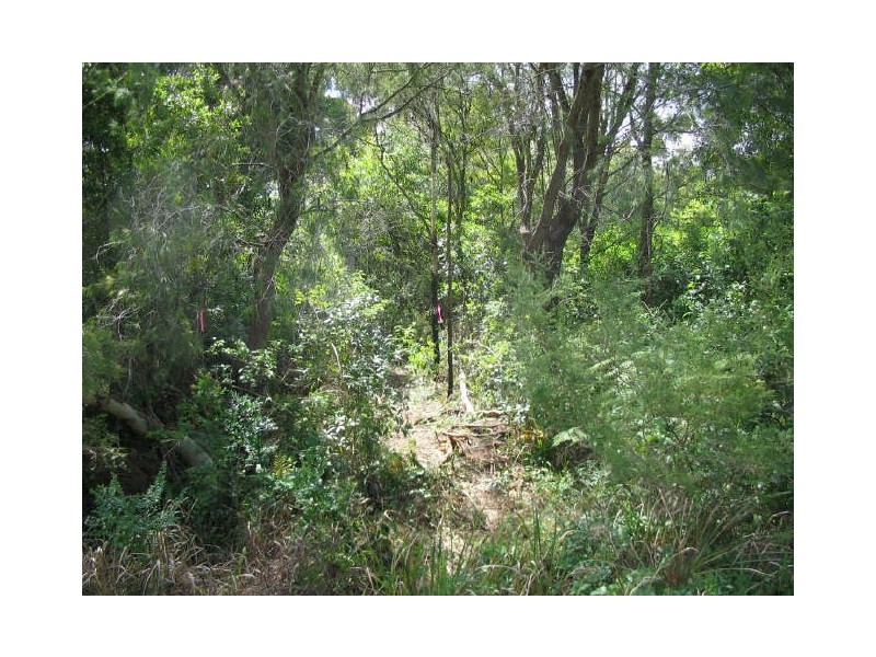 Lot 79 Cullamine Road, Duffys Forest NSW 2084