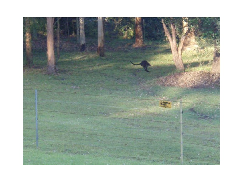 Herons Cross/Lot 1 Weemala Road, Duffys Forest NSW 2084