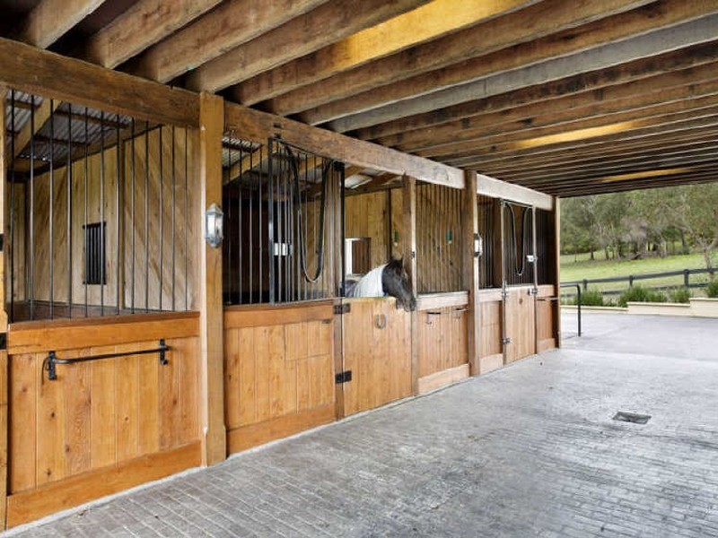 33 Hilversum Cres, Belrose NSW 2085