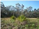 48 Polins Road, Calga NSW 2250