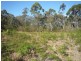 48 Polins Road, Calga NSW 2250