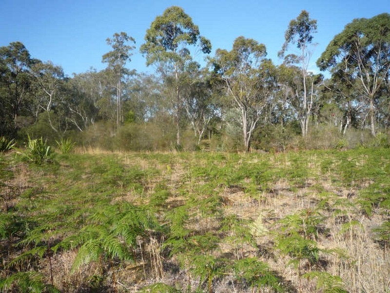48 Polins Road, Calga NSW 2250