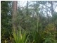 48 Polins Road, Calga NSW 2250