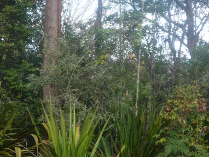 48 Polins Road, Calga NSW 2250