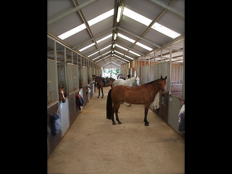 90 Booralie Road, Terrey Hills NSW 2084