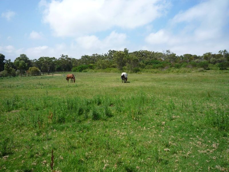 27 Walter Road, Ingleside NSW 2101