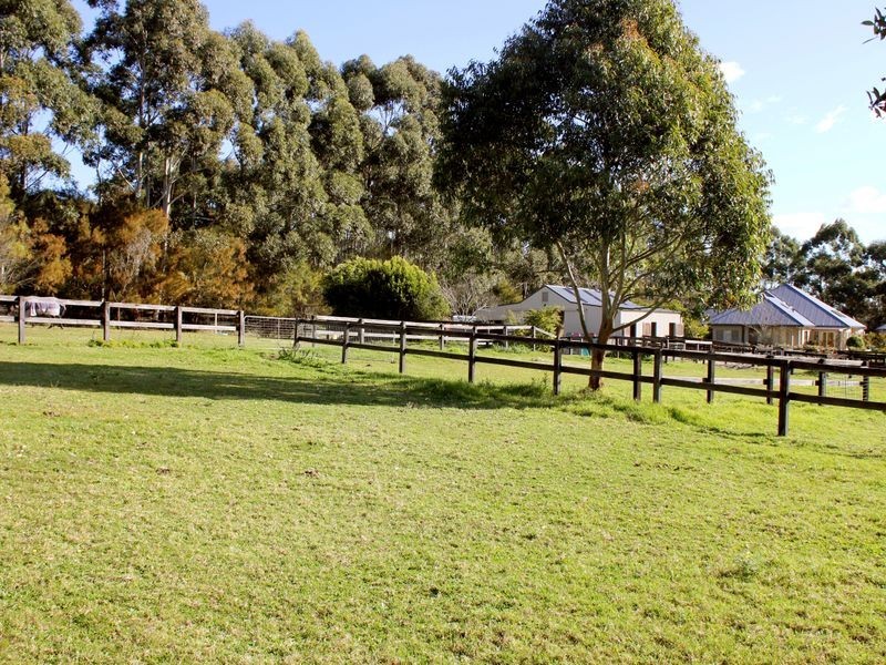 35 Walter Road, Ingleside NSW 2101