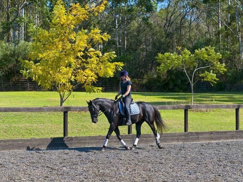 35 Walter Road, Ingleside NSW 2101