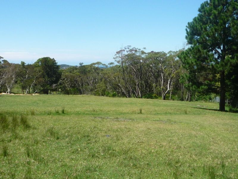 310 Mona Vale Road, Terrey Hills NSW 2084