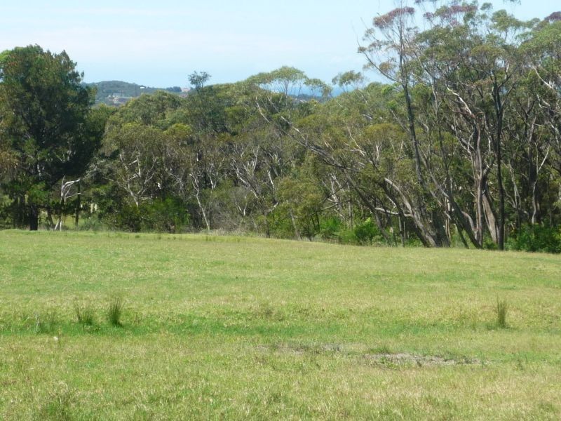 310 Mona Vale Road, Terrey Hills NSW 2084