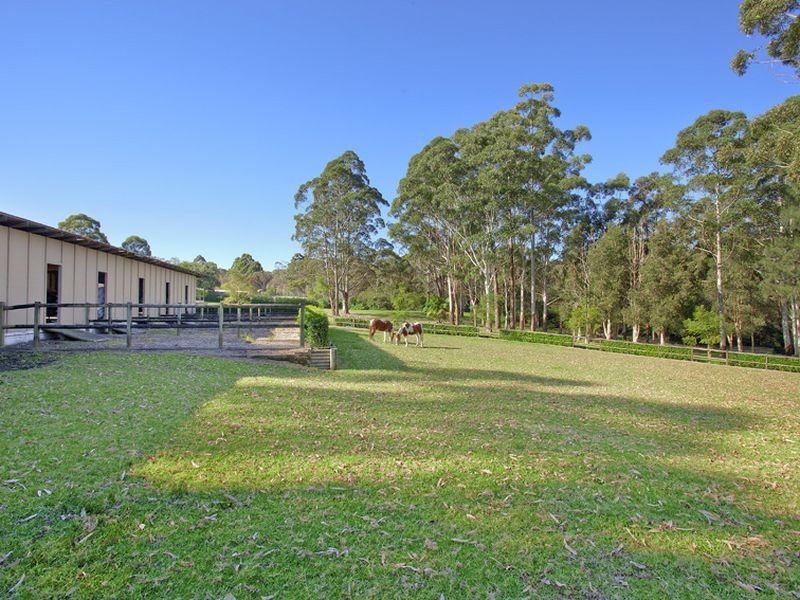 126 Booralie Road, Duffys Forest NSW 2084
