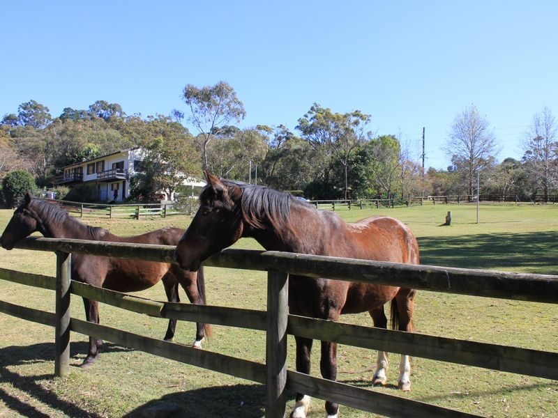 Terrey Hills NSW 2084