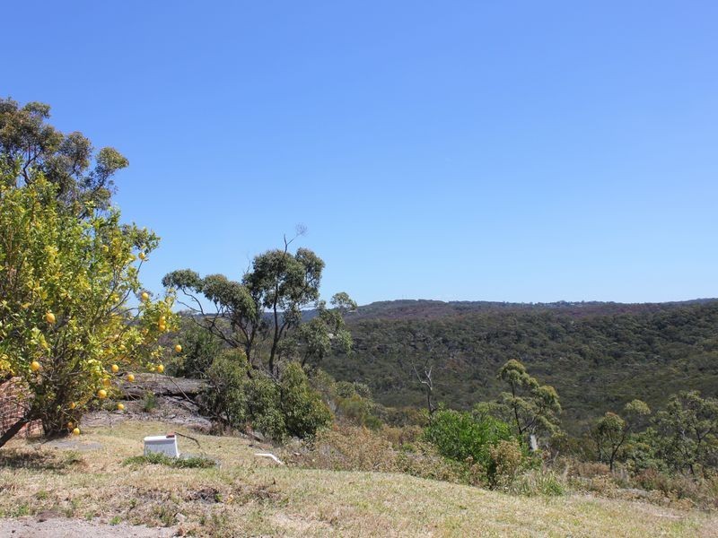 9 Caladenia Close, Elanora Heights NSW 2101