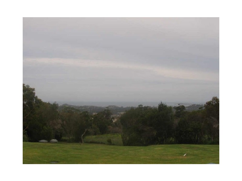 9 Walter Road, Ingleside NSW 2101