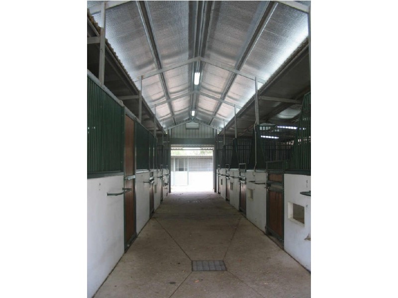 9 Walter Road, Ingleside NSW 2101