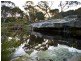 213 Tooronga Road, Terrey Hills NSW 2084