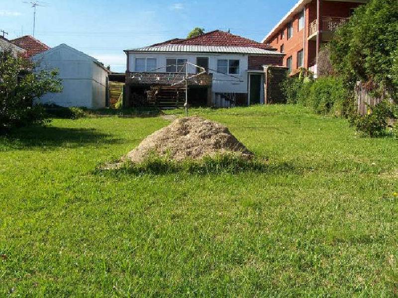 33 Waratah Street, Bexley NSW 2207