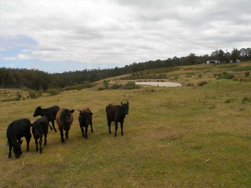 Lot 4 Main Road, Seaton VIC 3858