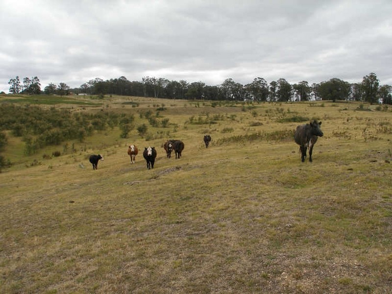 Lot 4 Main Road, Seaton VIC 3858