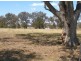 114 Mustons Lane, Heyfield VIC 3858
