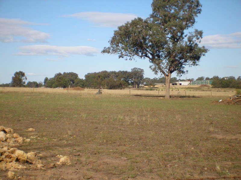Cnr Mustons Lane & Drapers Rd, Heyfield VIC 3858