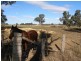 Cnr Mustons Lane & Drapers Rd, Heyfield VIC 3858