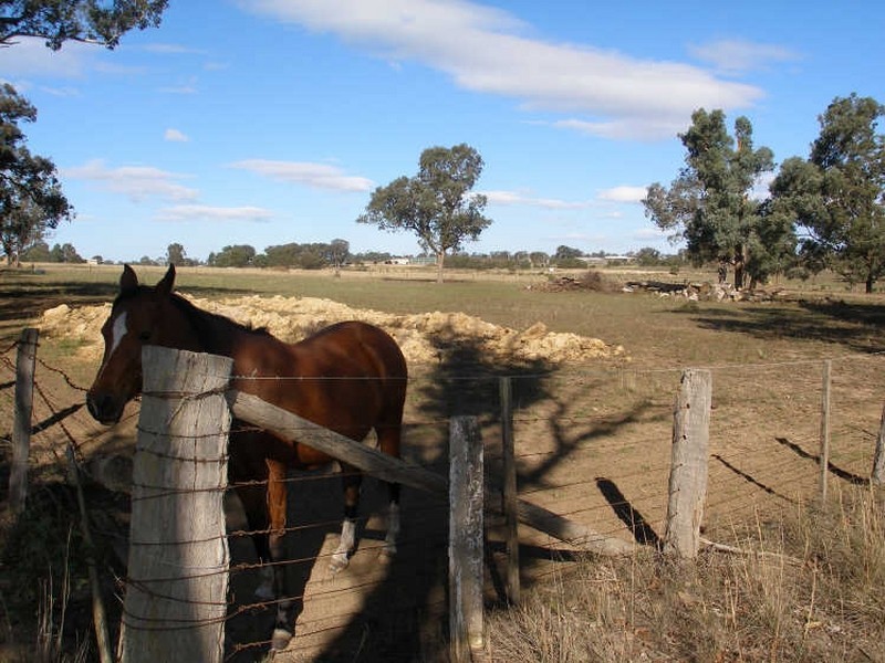 Cnr Mustons Lane & Drapers Rd, Heyfield VIC 3858
