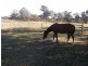 Cnr Mustons Lane & Drapers Rd, Heyfield VIC 3858