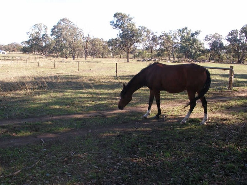 Cnr Mustons Lane & Drapers Rd, Heyfield VIC 3858