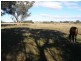 Cnr Mustons Lane & Drapers Rd, Heyfield VIC 3858