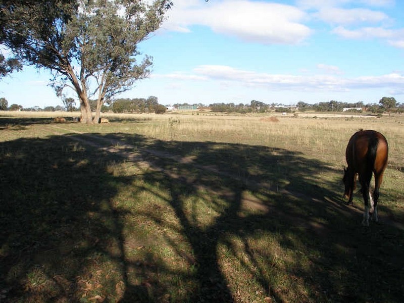 Cnr Mustons Lane & Drapers Rd, Heyfield VIC 3858