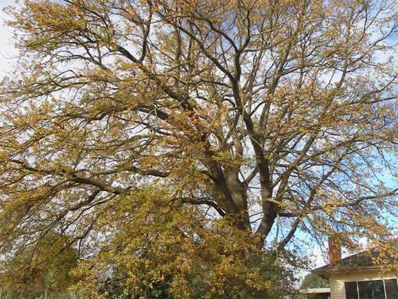 2183 Sale-Heyfield Road, Denison VIC 3858