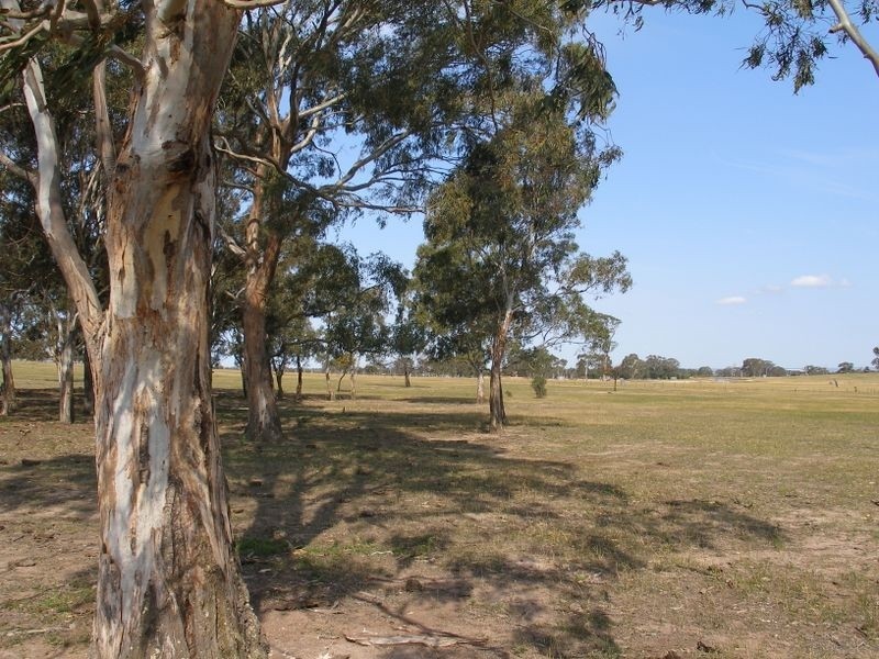 Winnindoo Avenue, Heyfield VIC 3858