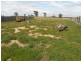 12 Burrnett Court, Heyfield VIC 3858