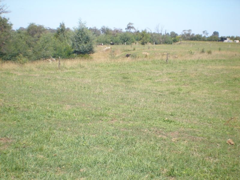 3826 Traralgon- Maffra Rd, Heyfield VIC 3858