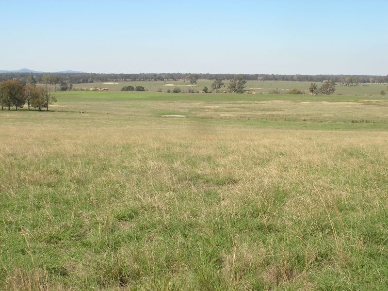 Cowwarr- Seaton Rd, Seaton VIC 3858