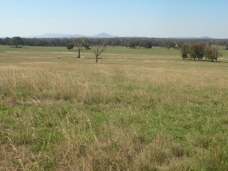 Cowwarr- Seaton Rd, Seaton VIC 3858