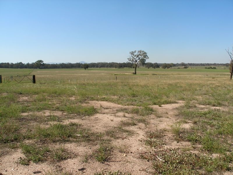 Cowwarr- Seaton Rd, Seaton VIC 3858