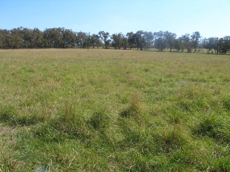 Cowwarr- Seaton Rd, Seaton VIC 3858