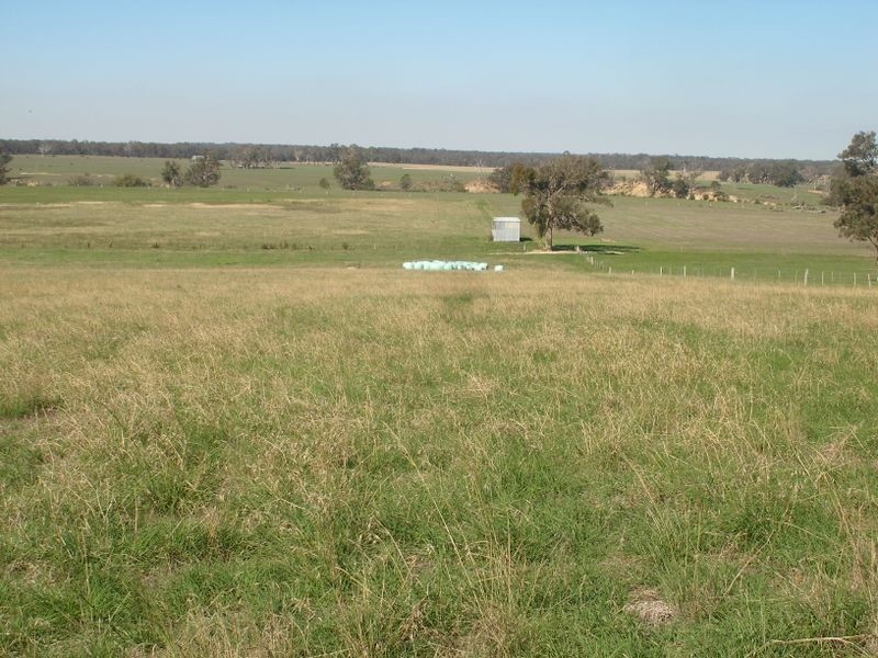 Cowwarr- Seaton Rd, Seaton VIC 3858