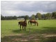 Lot 2 Mustons Lane, Heyfield VIC 3858