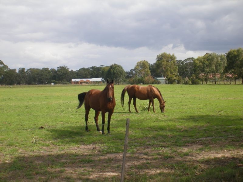 Lot 2 Mustons Lane, Heyfield VIC 3858