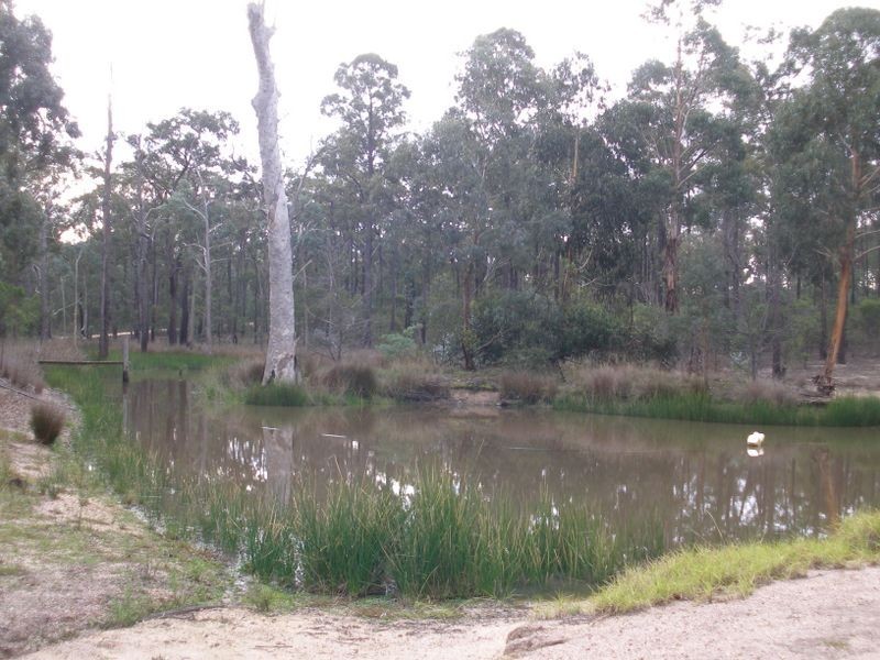 204 Lambrecht Rd, Heyfield VIC 3858